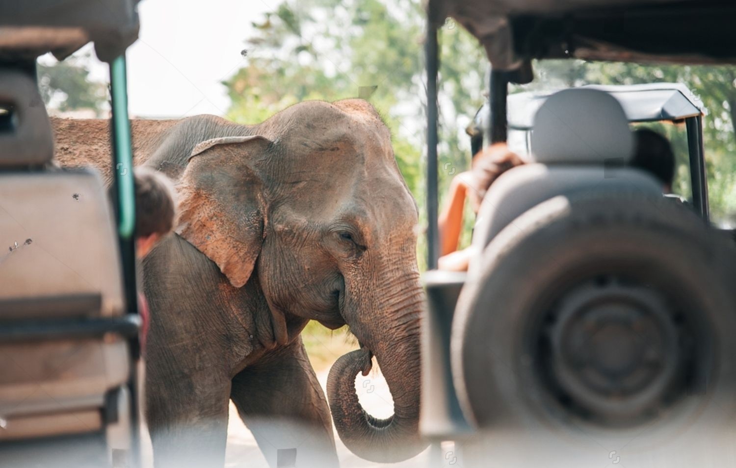 Udawalawa National Park