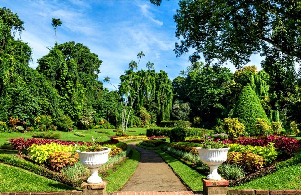 Kandy Cultural Heritage Tour Image 4