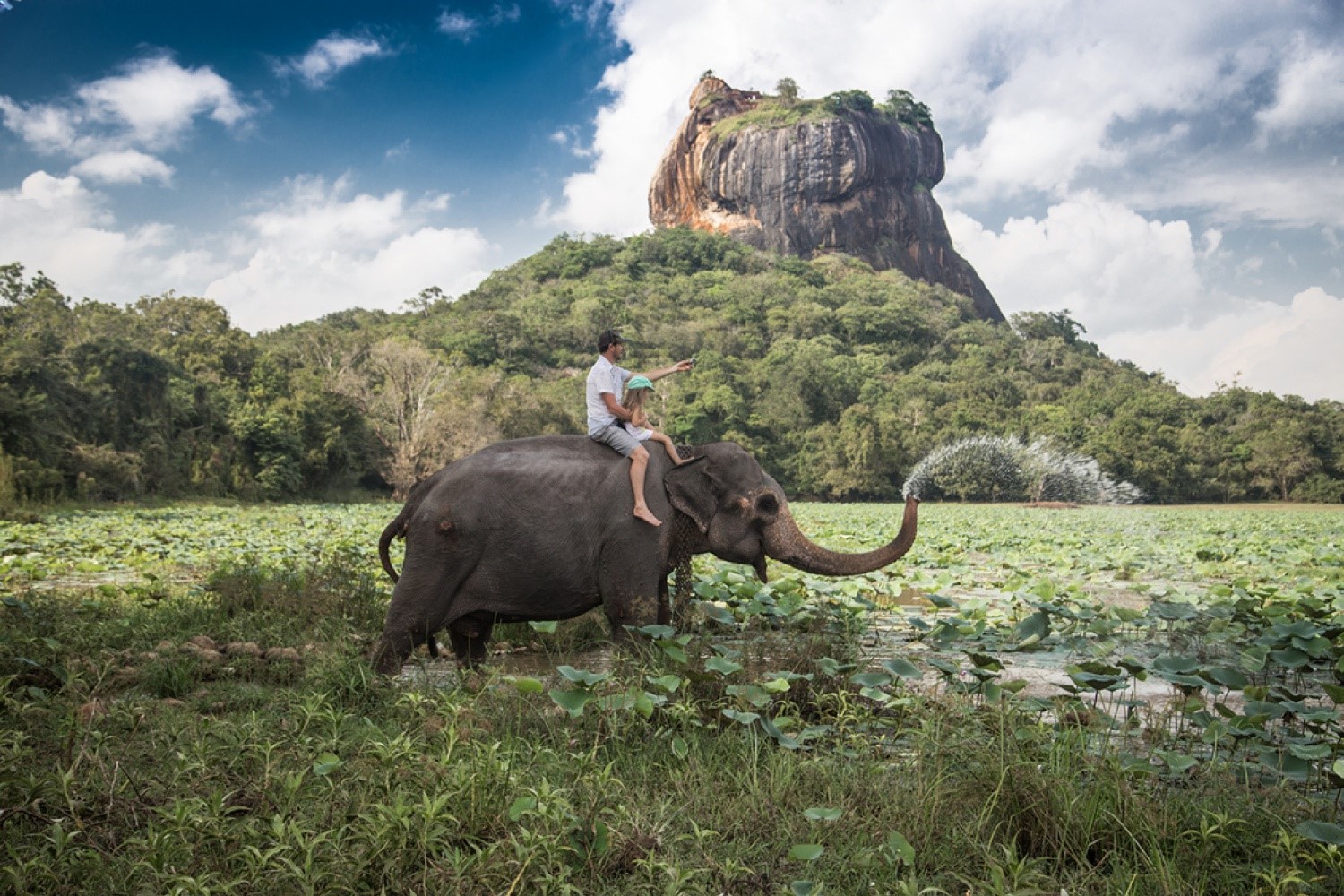Ancient Sigiriya Rock Fortress Image 4